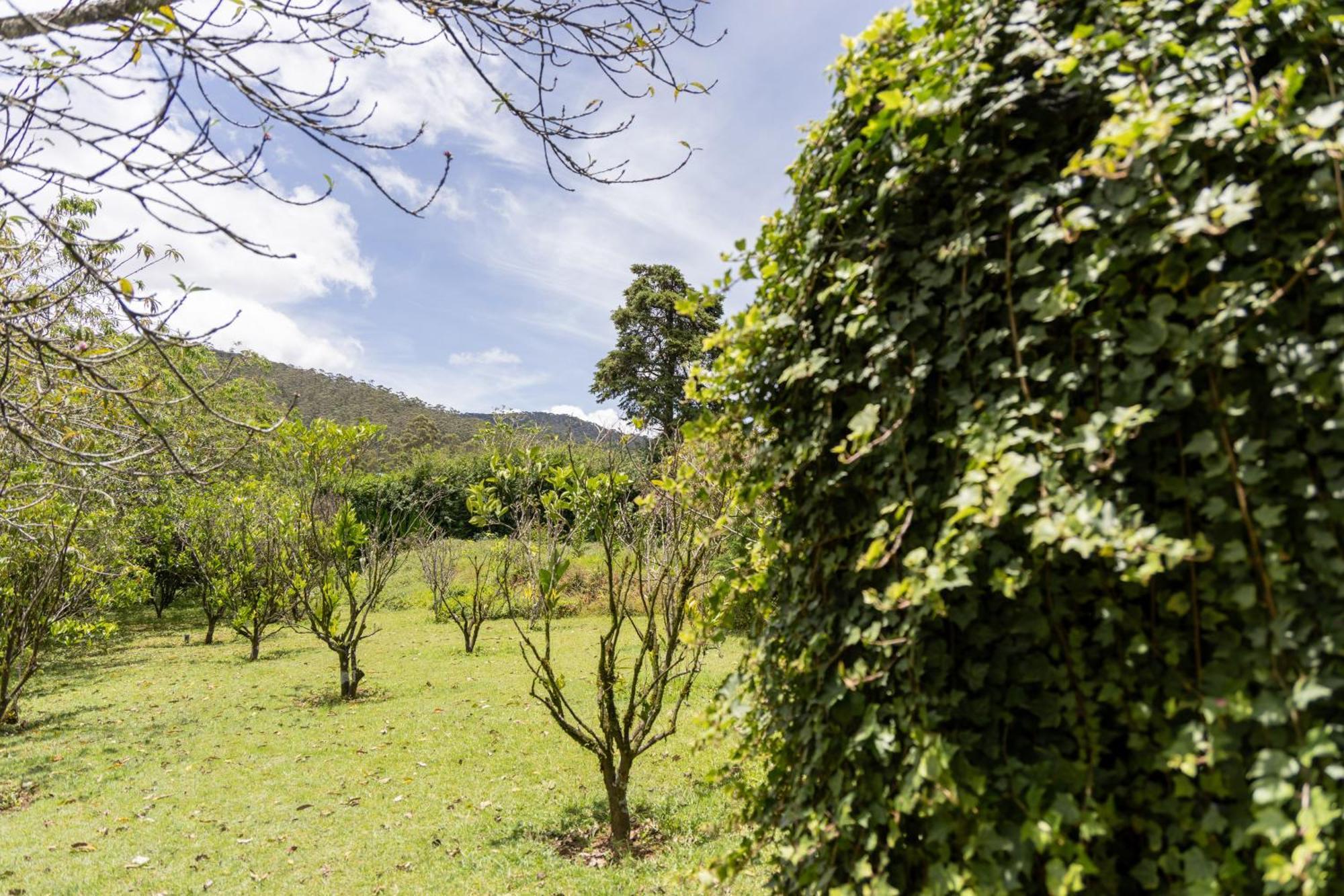 Ferncliff Bungalow Nuwara Eliya Eksteriør bilde
